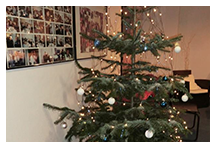 Paracelsus intern: Begegnungen around the Christmas tree
